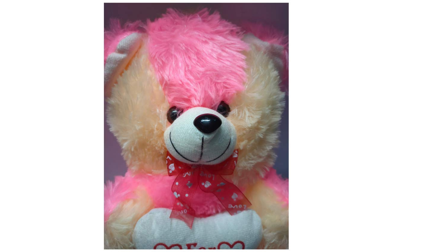 Teddy Bear Stuffed Animal5