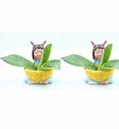 Yellow Basket Planter Combo